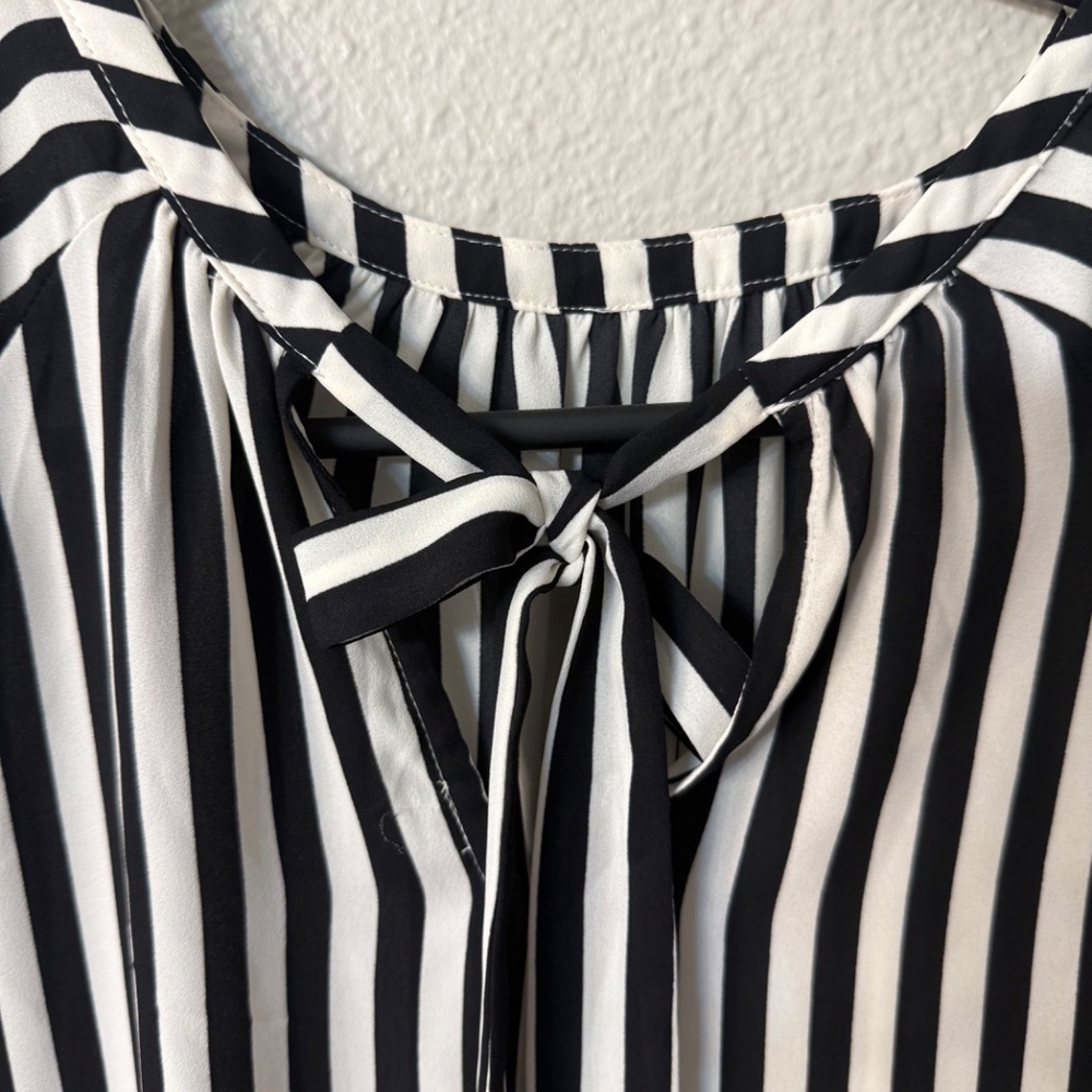 Striped shell - Picture 4 of 5